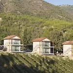 Gillham Vineyard Templos