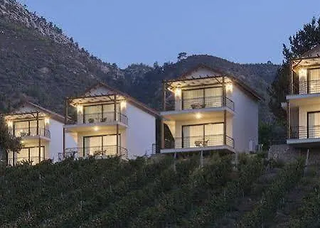 Gillham Vineyard Templos