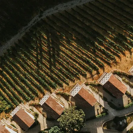 Gillham Vineyard Templos