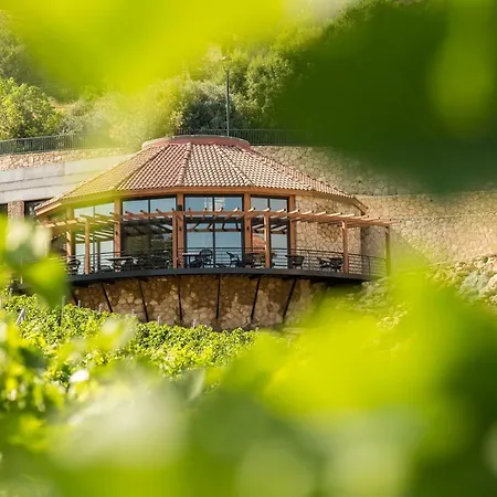 Hotel Gillham Vineyard Templos