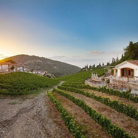 Gillham Vineyard 5*