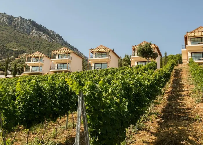 Gillham Vineyard Hotel