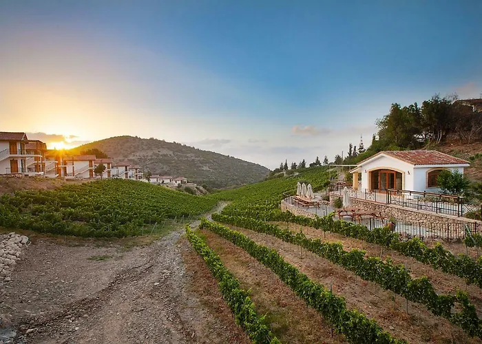 Gillham Vineyard 5*