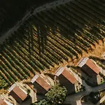 Gillham Vineyard Templos