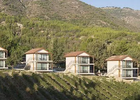 Gillham Vineyard Templos