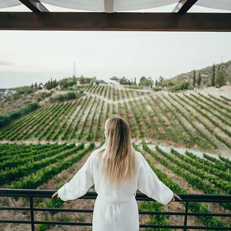 Gillham Vineyard Templos
