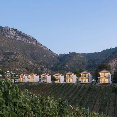 Gillham Vineyard 5* Templos