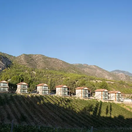 Gillham Vineyard ホテル Templos