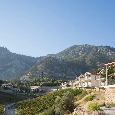 Gillham Vineyard 5* Templos