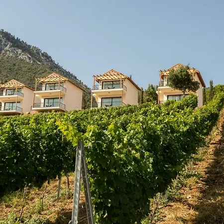 Gillham Vineyard ホテル