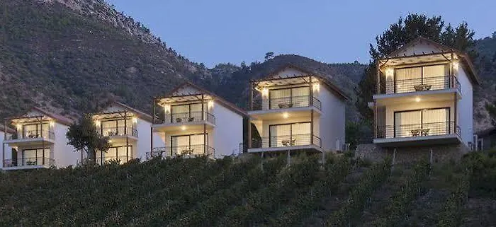 Gillham Vineyard Templos