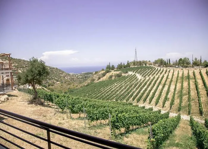 Gillham Vineyard ホテル Templos