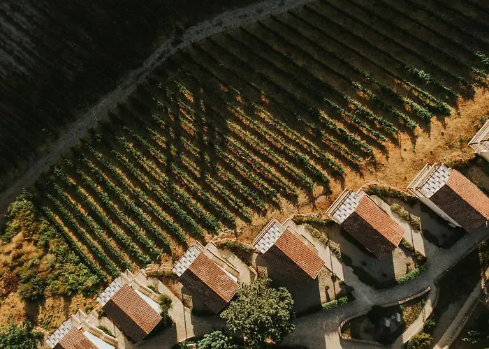 Gillham Vineyard Templos