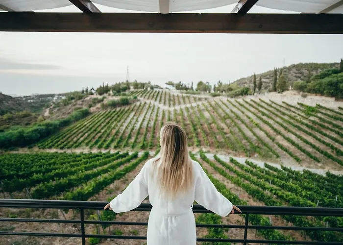 Gillham Vineyard Templos