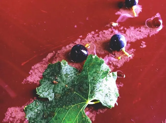 Gillham Vineyard Templos