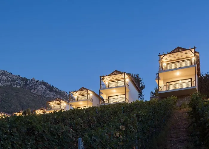 ホテル Gillham Vineyard 5*