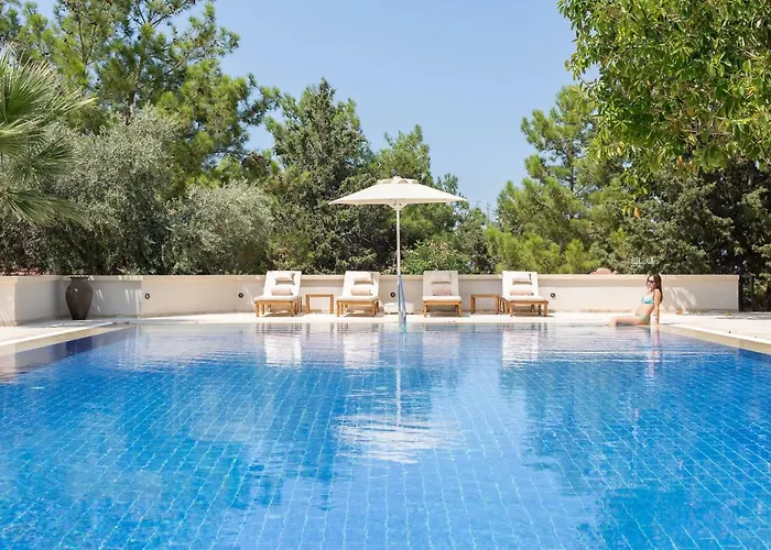 Gillham Vineyard ホテル Templos