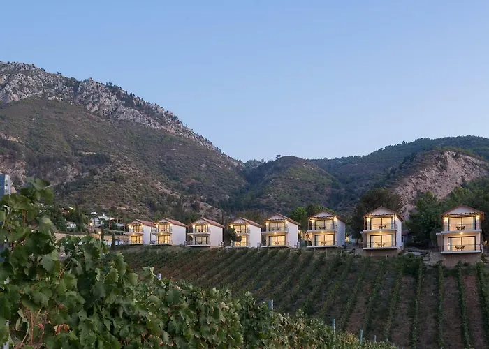 Gillham Vineyard 5* Templos