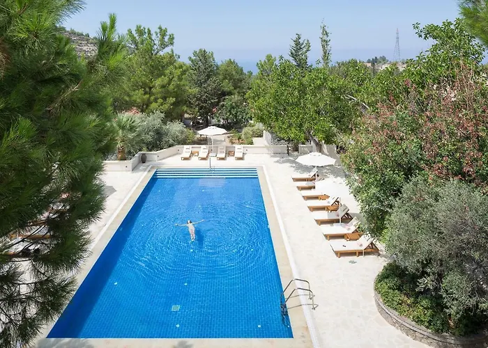 Gillham Vineyard ホテル Templos