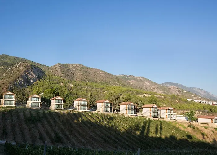 Gillham Vineyard ホテル Templos