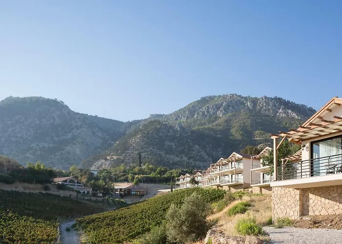 Gillham Vineyard 5* Templos