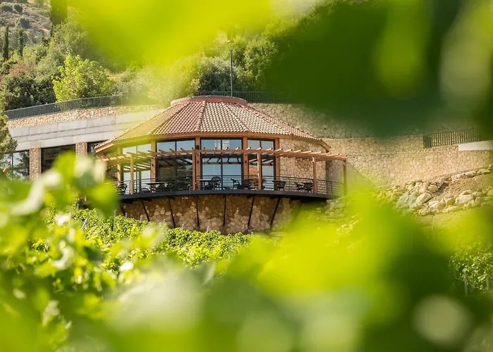 ホテル Gillham Vineyard Templos